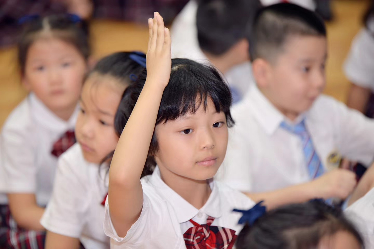 mmexport1504266468797_副本.jpg mmexport1504266468797_副本.jpg